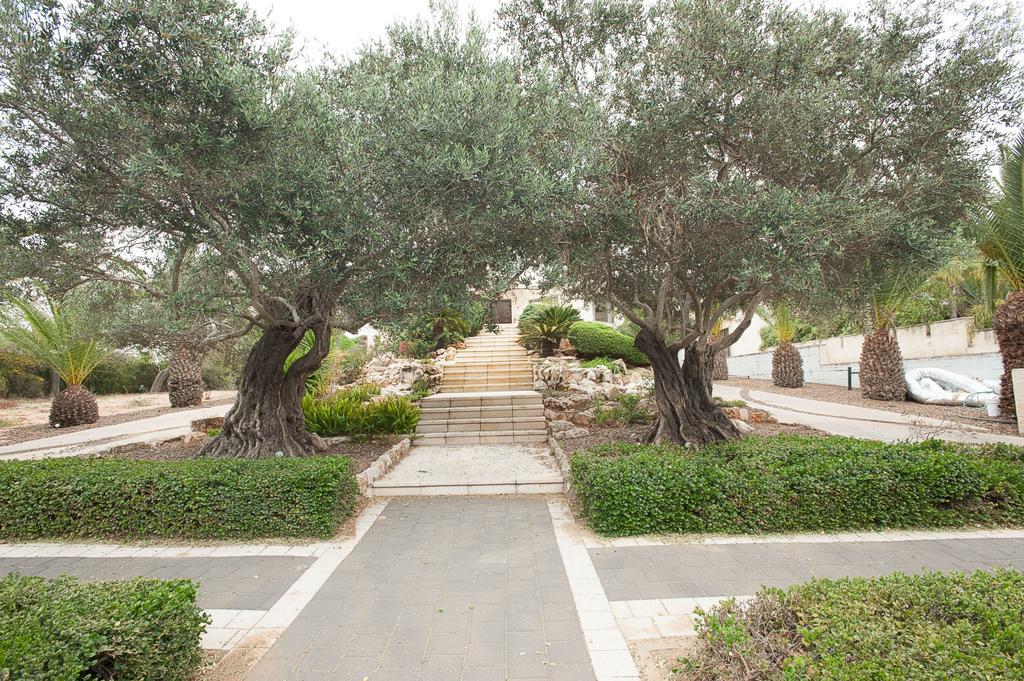 Romantic Suite In Caesarea Exteriér fotografie